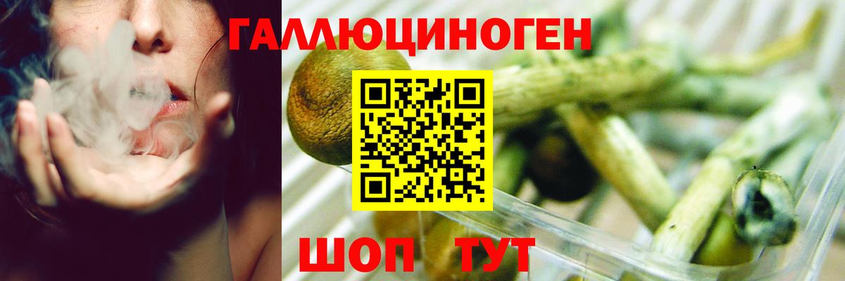 Ростов-на-Дону  Псилоцибиновые грибы GOLDEN TEACHER  Псилоцибиновые грибы Magic Shrooms  Вход с VPN 